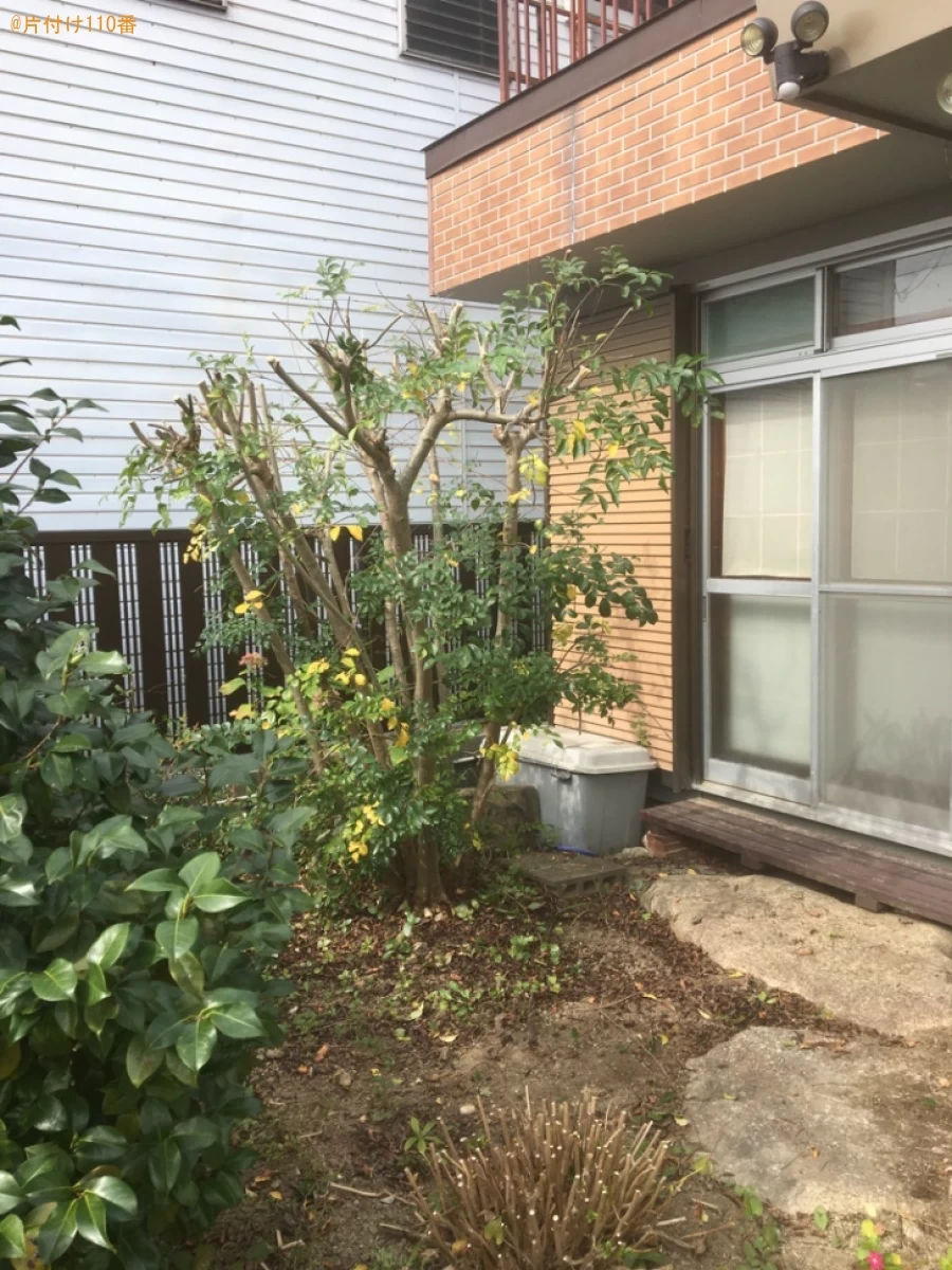 【岐阜市】木の伐採作業と木の回収・処分ご依頼　お客様の声
