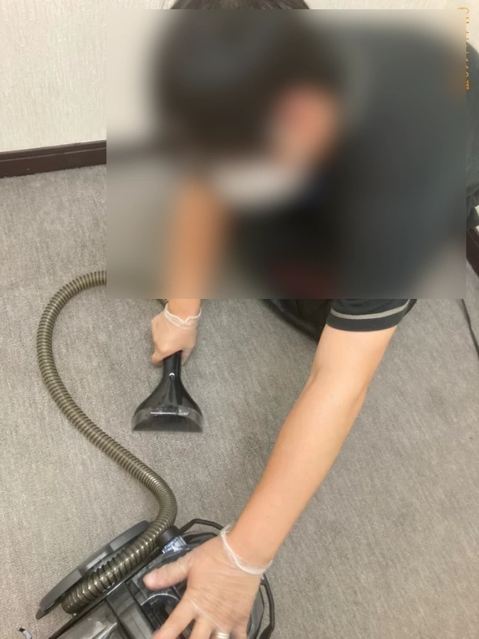 【泉佐野市】カーペットクリーニングご依頼　お客様の声