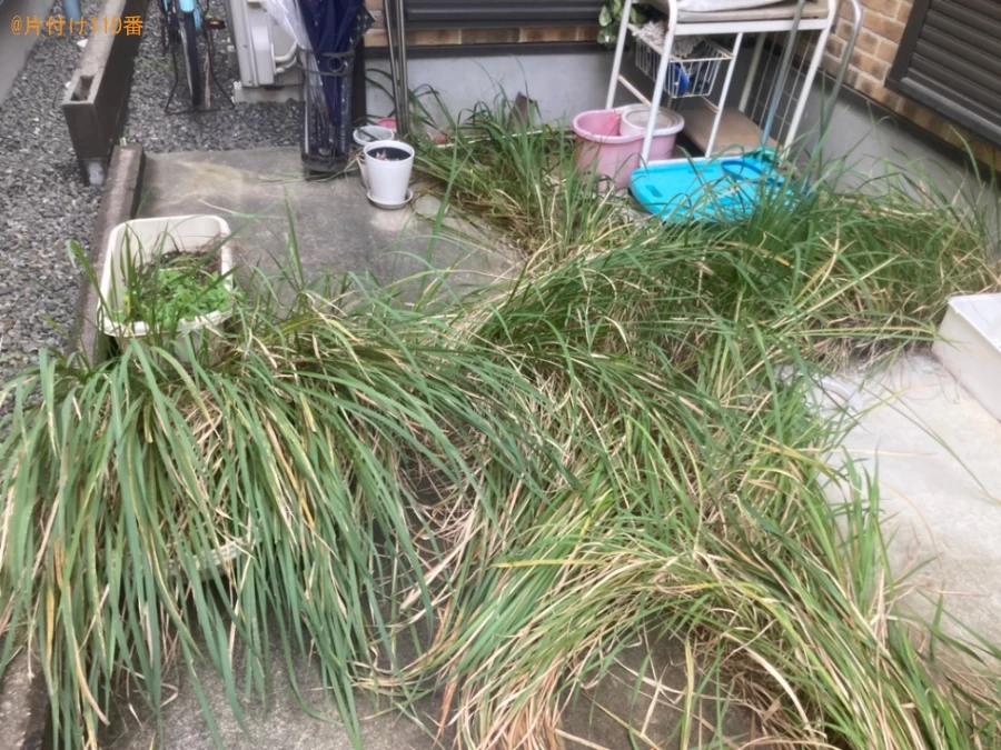 【茨木市】間違って植えてしまった芝生を抜く作業ご依頼　お客様の声