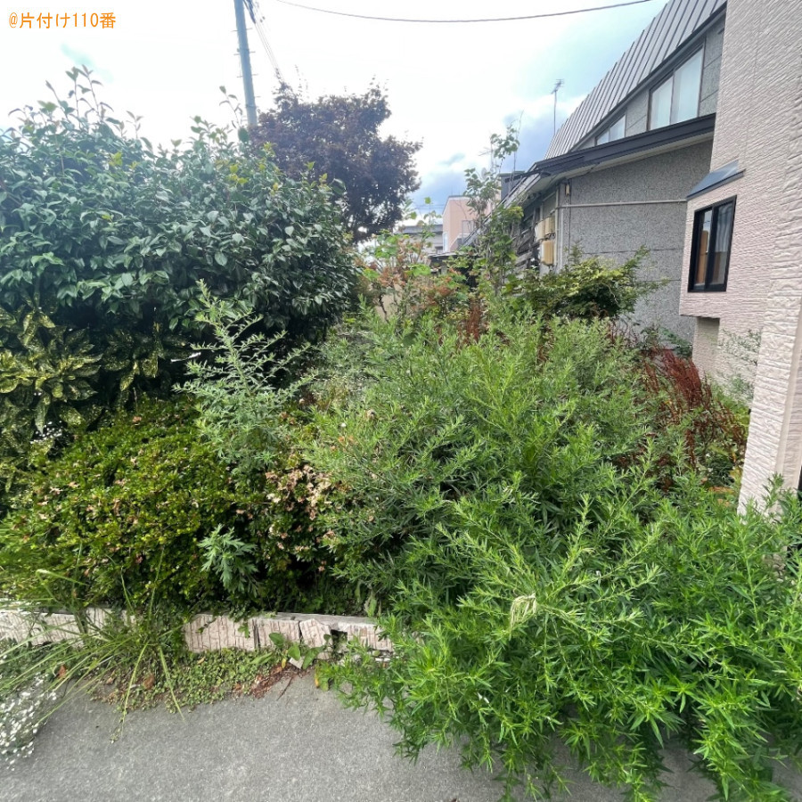 【青森市】草刈り作業ご依頼　お客様の声