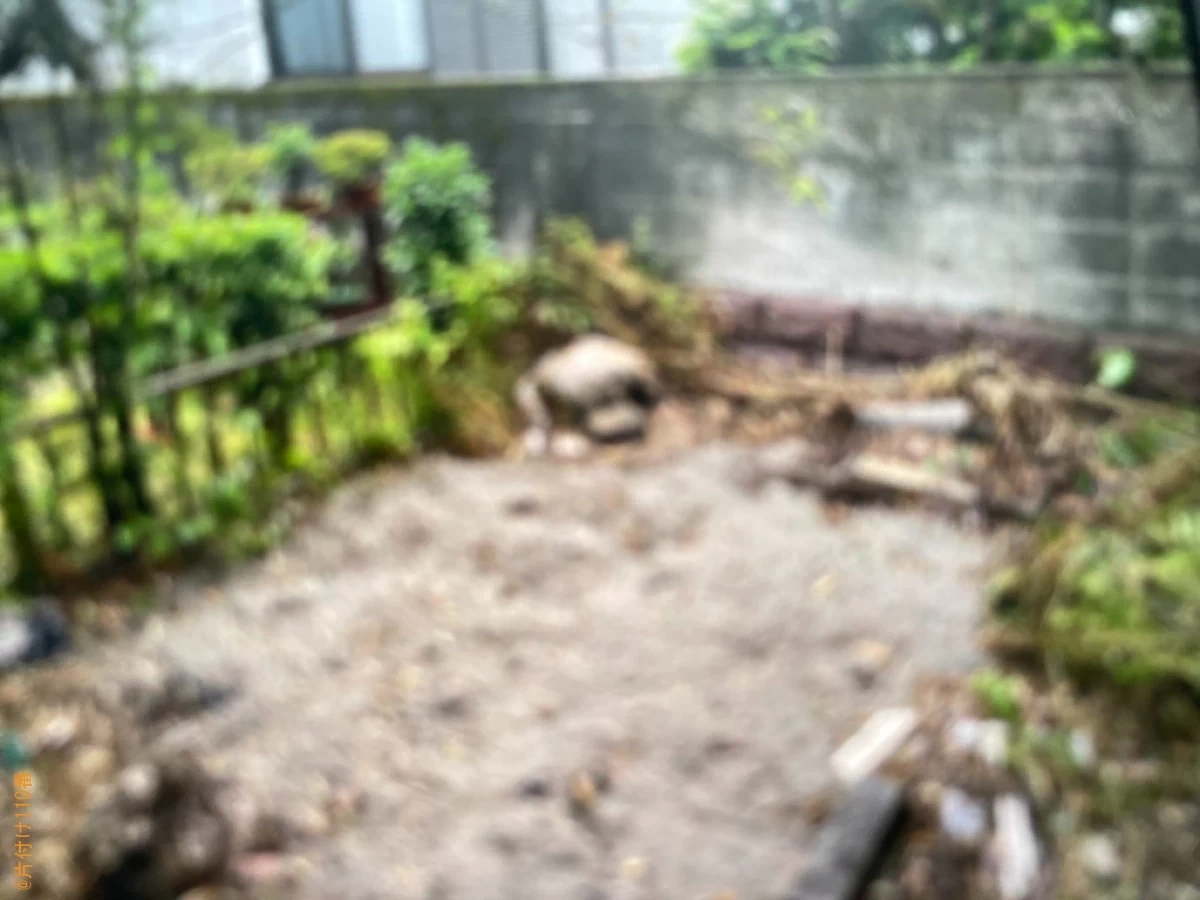 【鹿児島市】庭に置いている不用品回収、木の剪定と伐採、物置の解体