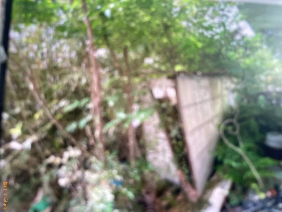 【鹿児島市】庭に置いている不用品回収、木の剪定と伐採、物置の解体