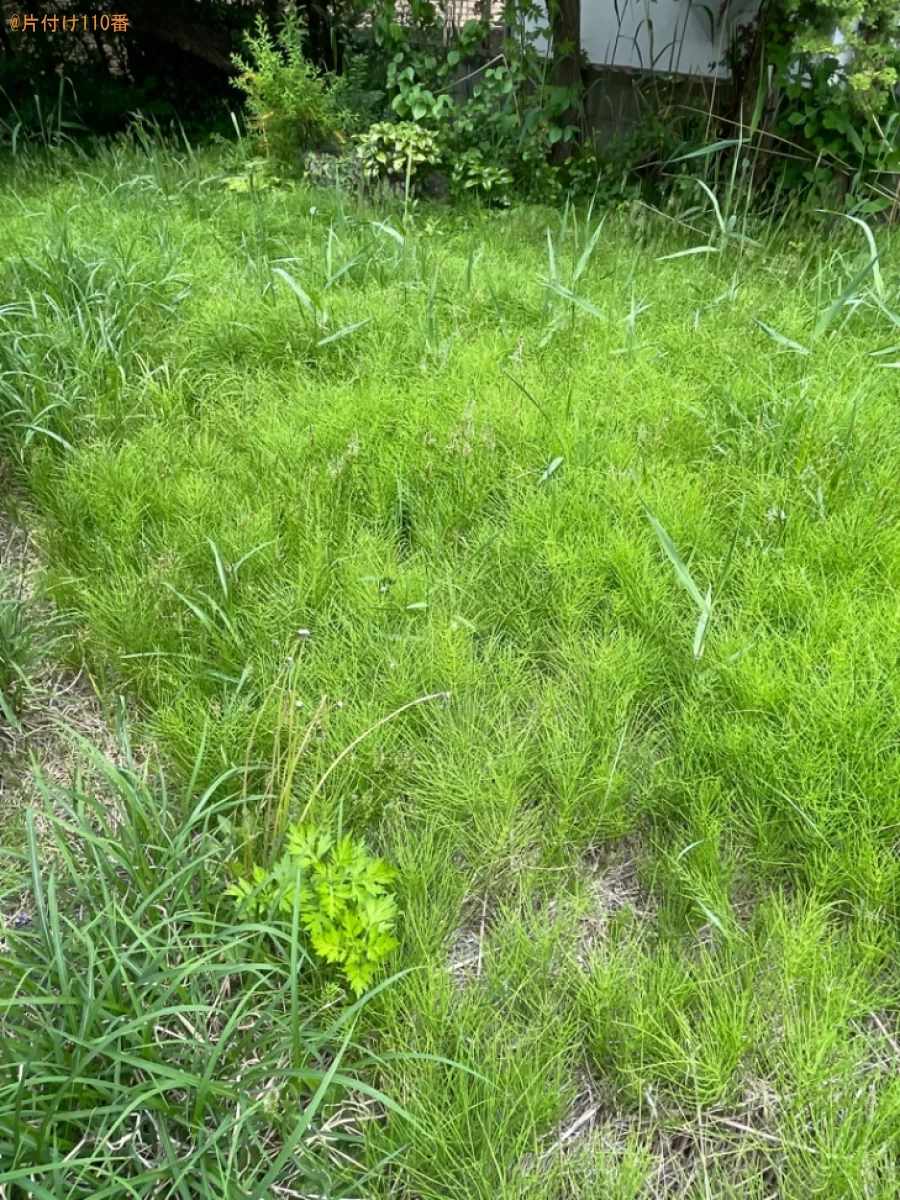 【南津軽郡藤崎町】草刈り、木の剪定作業ご依頼　お客様の声