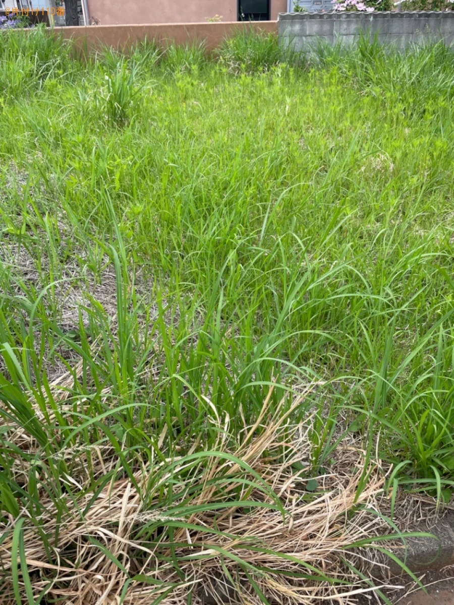 【南津軽郡藤崎町】草刈り、木の剪定作業ご依頼　お客様の声