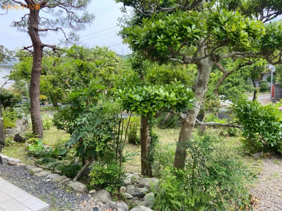 【あきる野】草刈り作業ご依頼　お客様の声