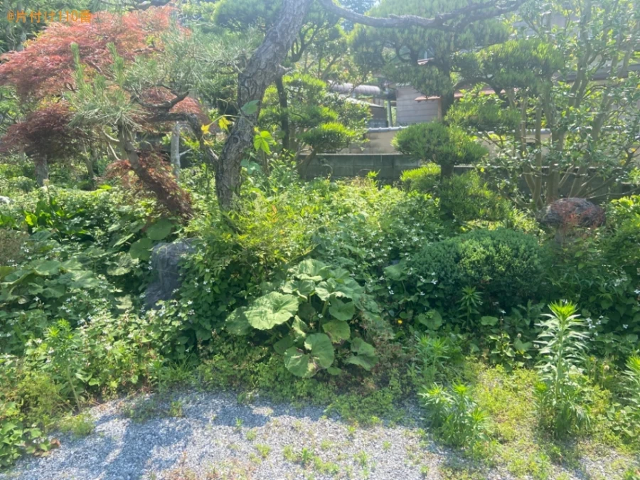 【あきる野】草刈り作業ご依頼　お客様の声