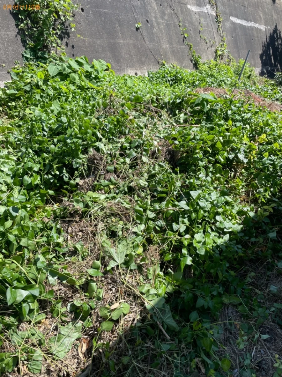 【青森市】木の剪定作業ご依頼　お客様の声