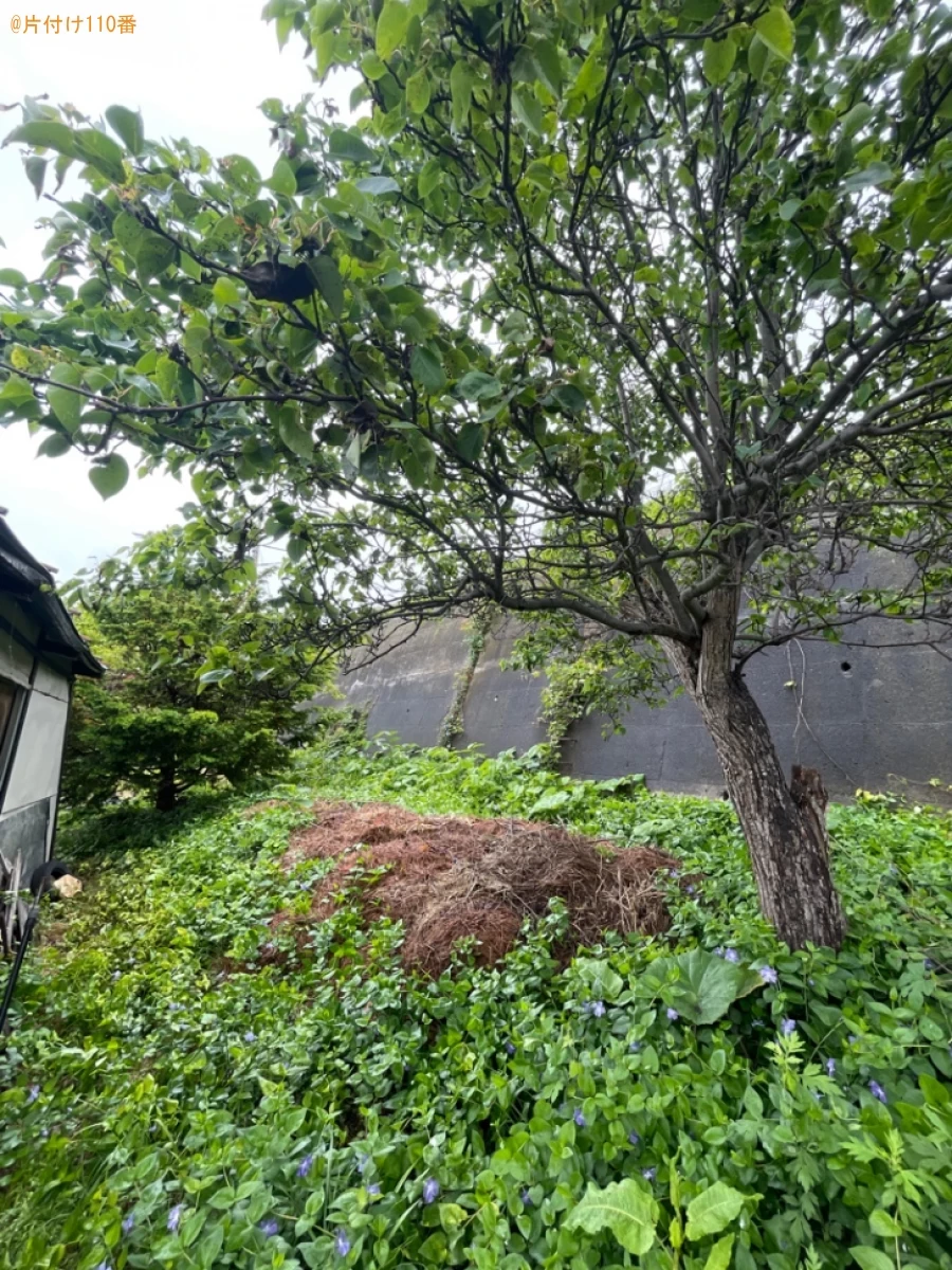 【青森市】木の剪定作業ご依頼　お客様の声