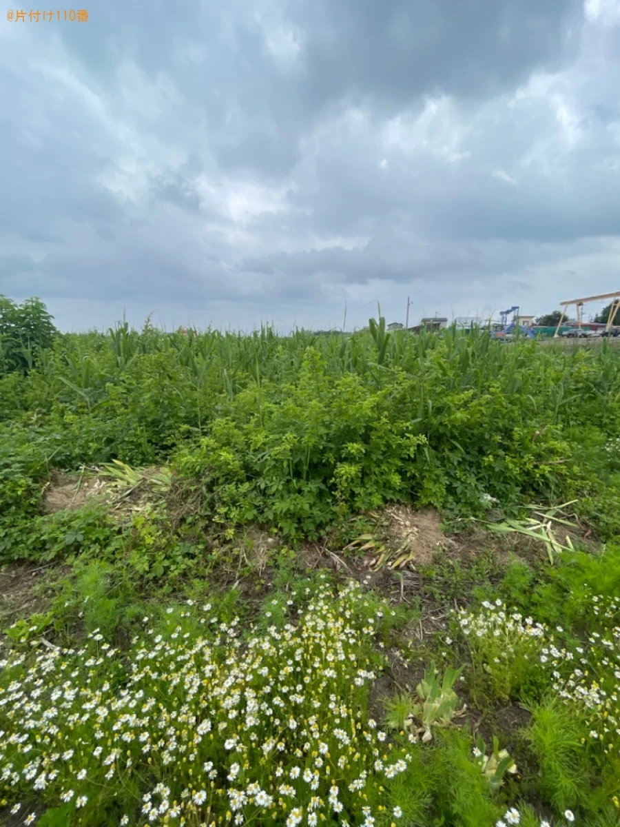 【弘前市】草刈り作業ご依頼　お客様の声