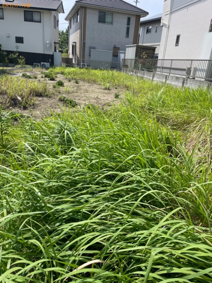 【掛川市】草刈り作業ご依頼　お客様の声