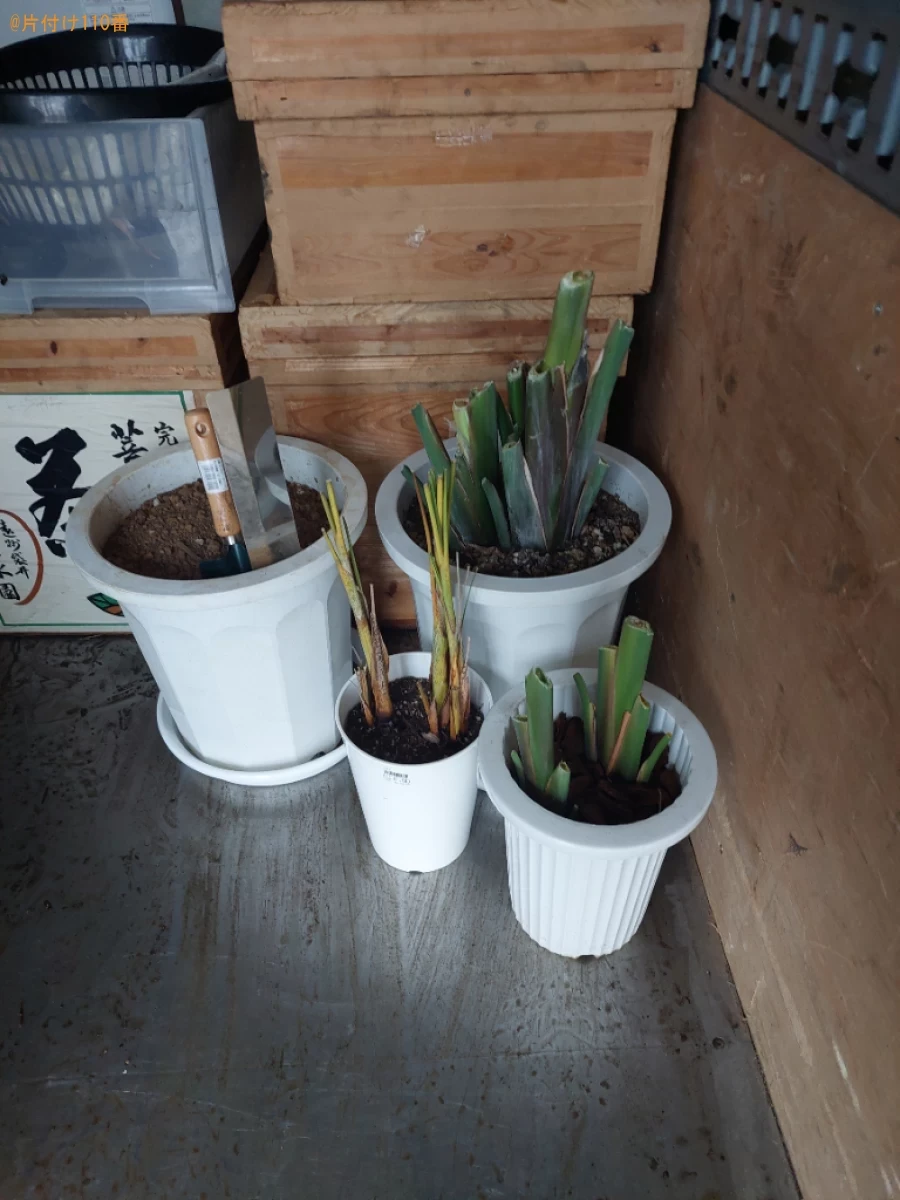 【足立区】鉢植えの回収・処分ご依頼　お客様の声