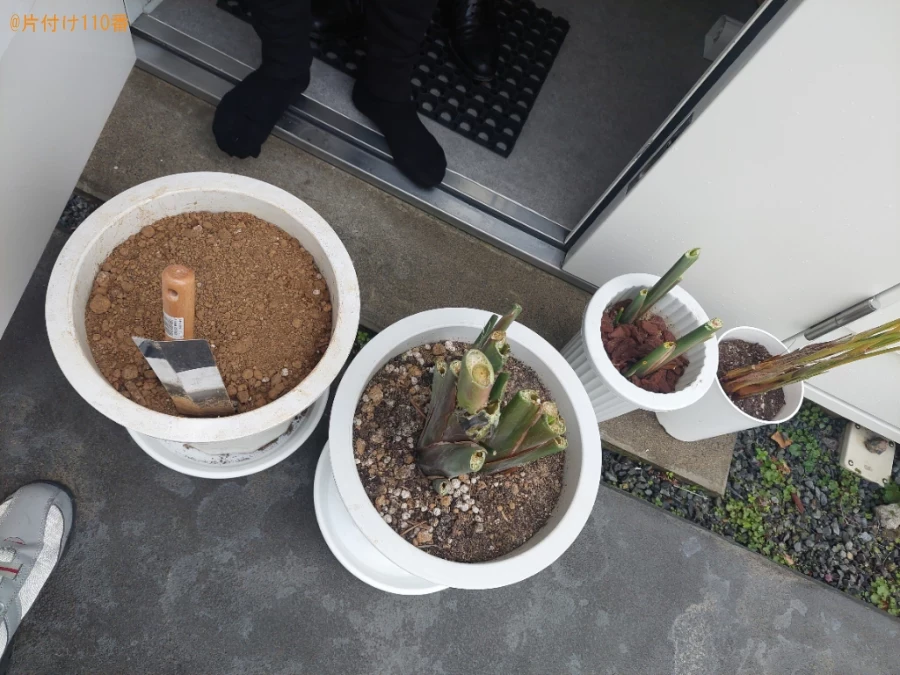 【足立区】鉢植えの回収・処分ご依頼　お客様の声