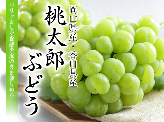【限定2名さま】桃太郎ぶどう1000g×1房