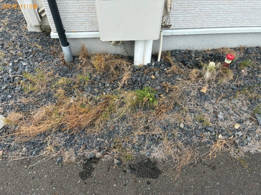 【北上市】胡蝶蘭の鉢の回収・処分ご依頼　お客様の声