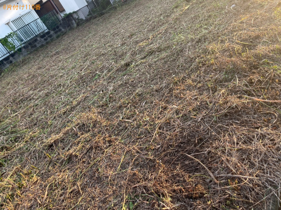 【比企郡嵐山町】草刈り作業ご依頼　お客様の声