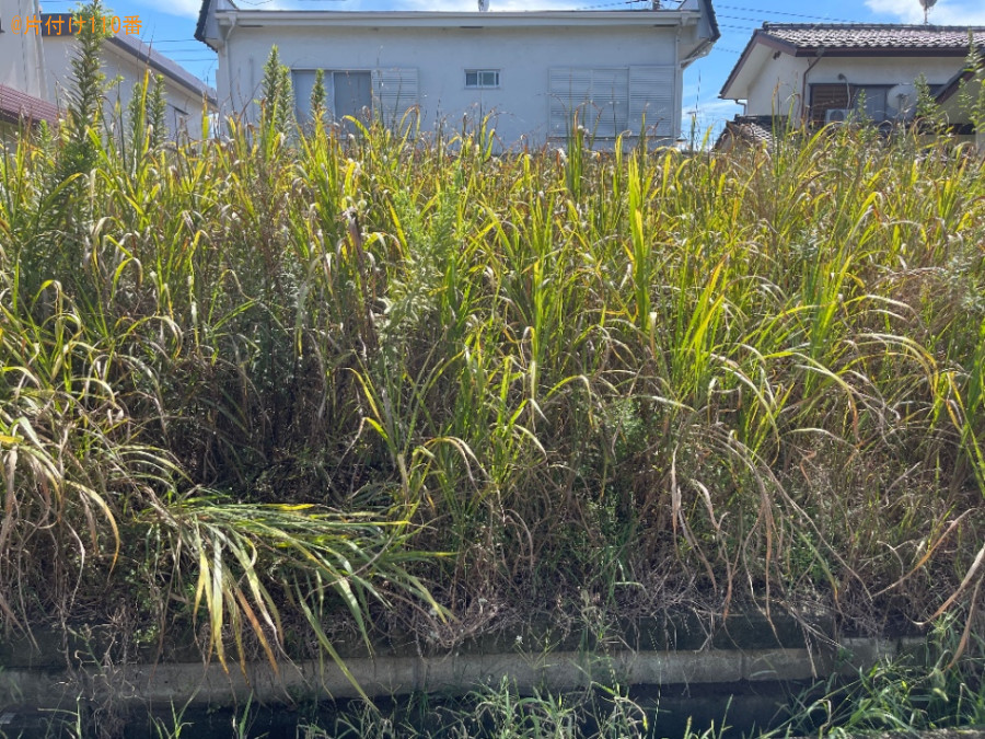 【比企郡嵐山町】草刈り作業ご依頼　お客様の声
