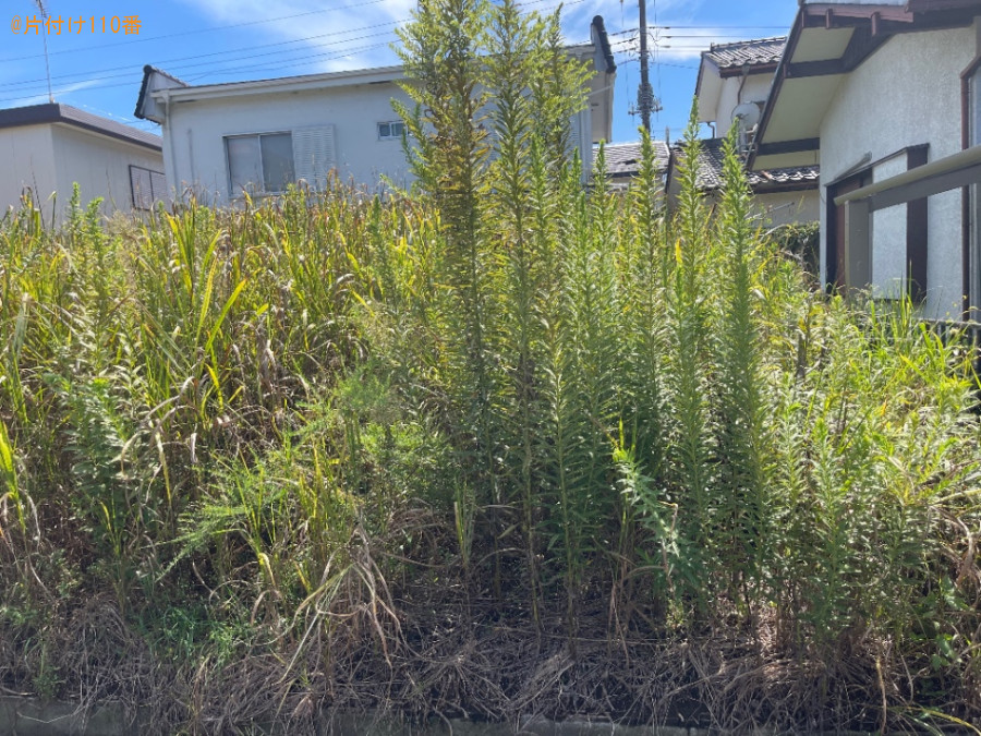 【比企郡嵐山町】草刈り作業ご依頼　お客様の声