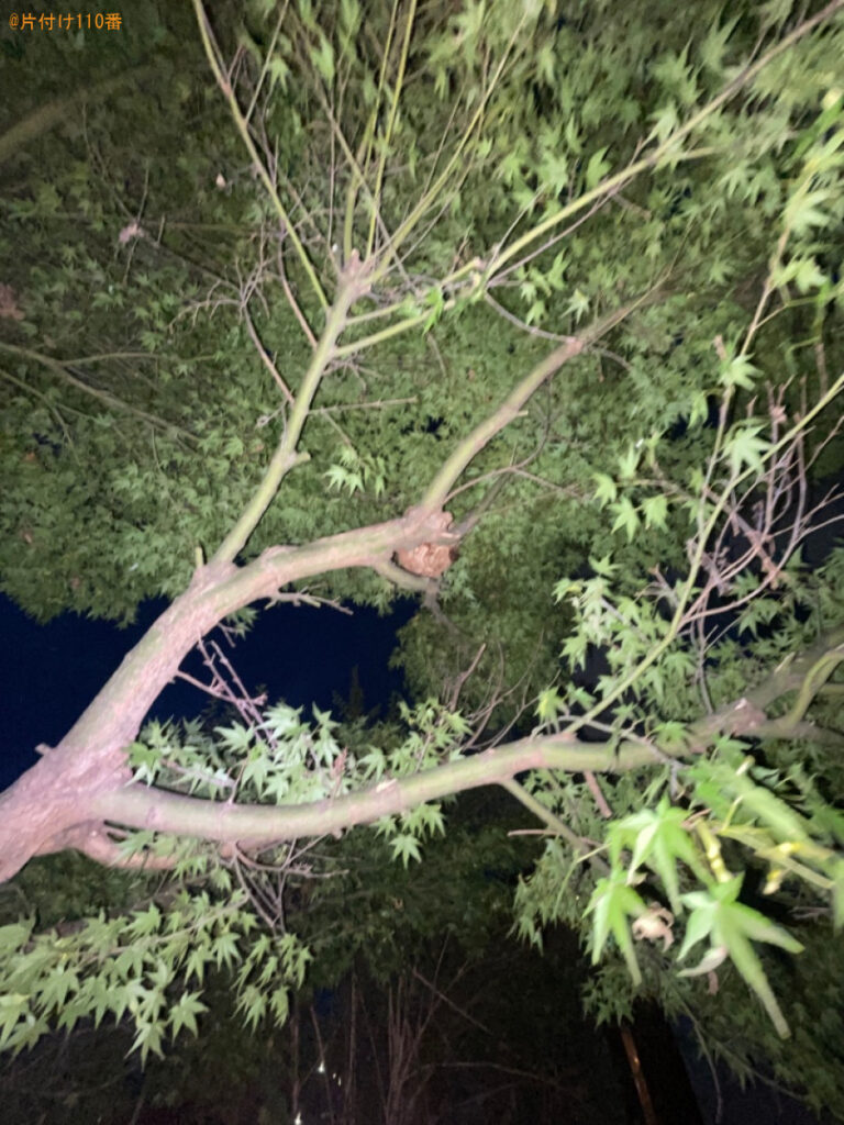 【笛吹市境川町】スズメバチ駆除ご依頼　お客様の声