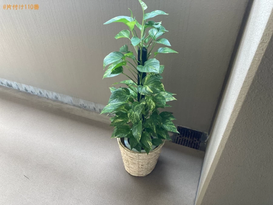 【鹿児島市東千石町】二人掛けソファー、ラック、鉢植えの回収・処分