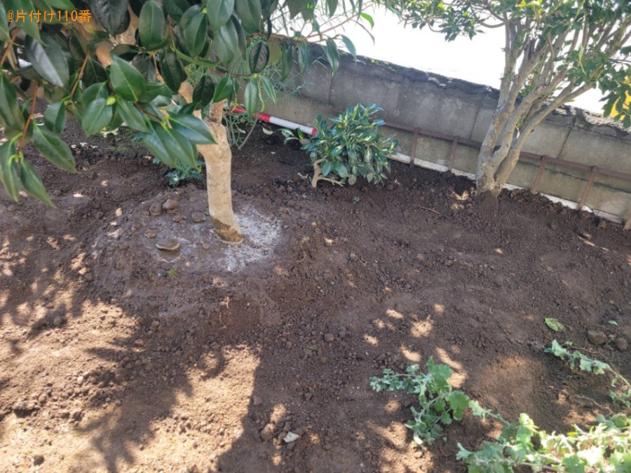 【青森市】椿の木を別の場所へ植え替える作業ご依頼　お客様の声
