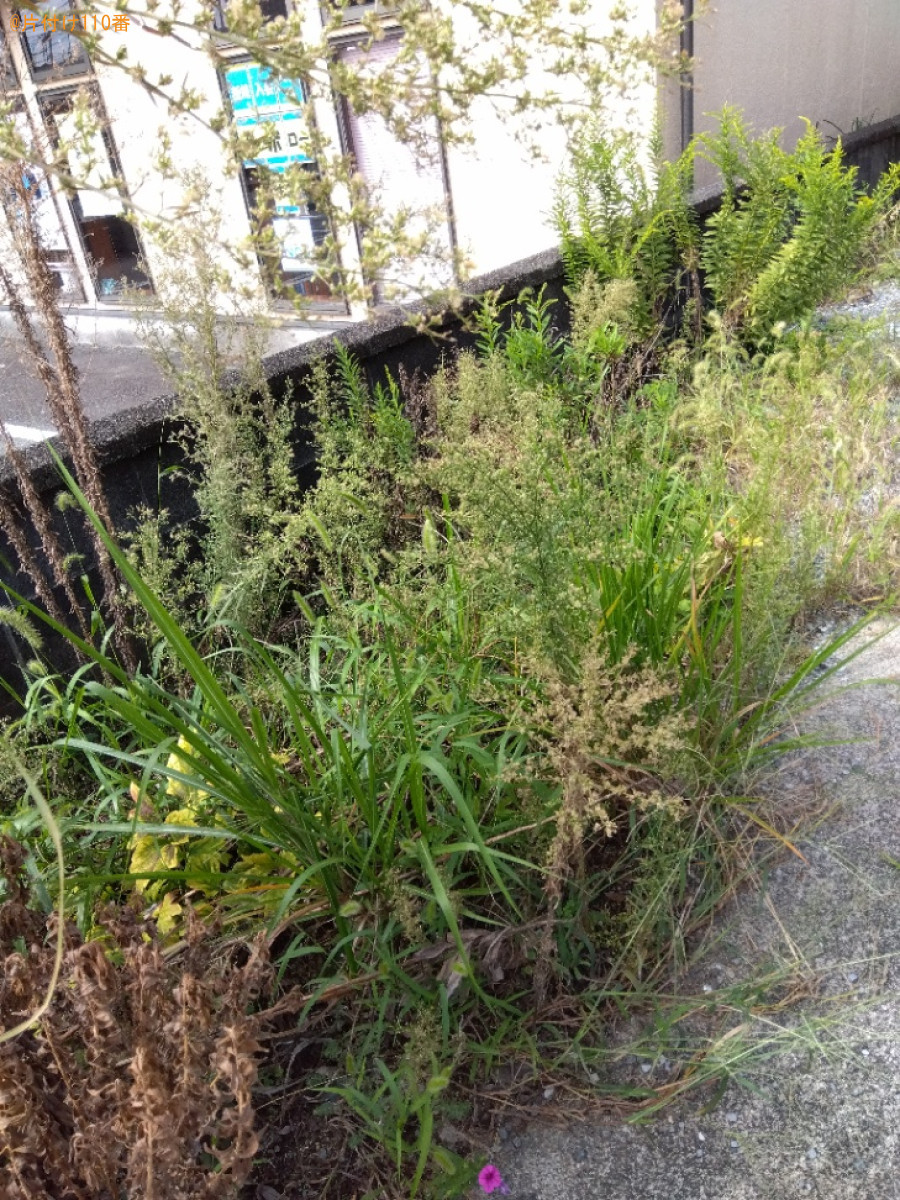 【富士市】草抜き作業ご依頼　お客様の声