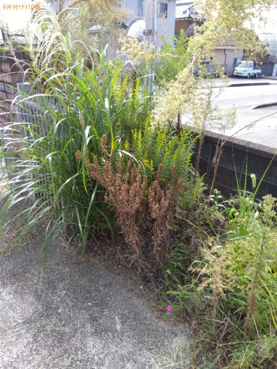 【富士市】草抜き作業ご依頼　お客様の声