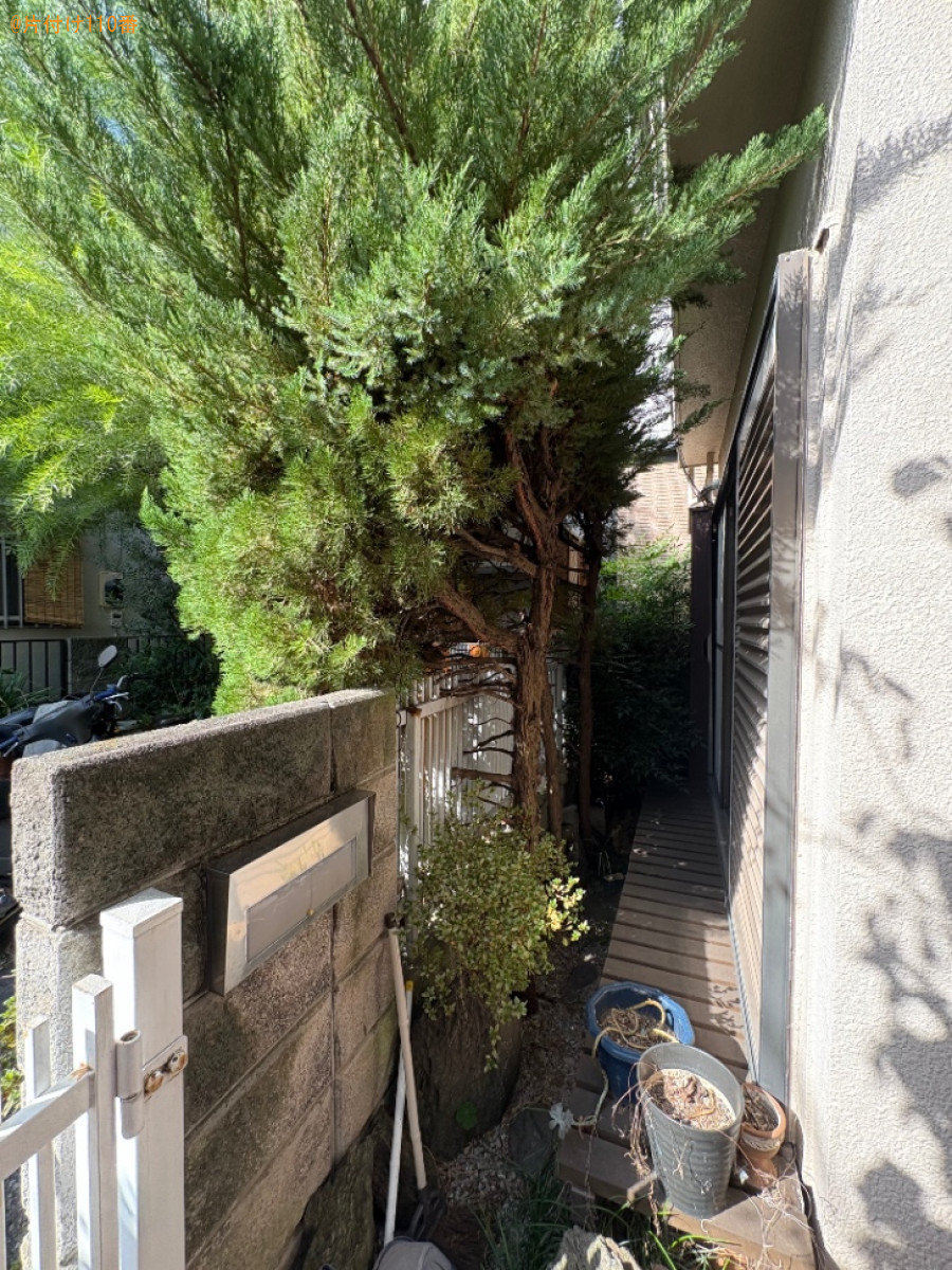 【北区】木の伐採作業と鉢植え、消火器、伐採した木の回収・処分