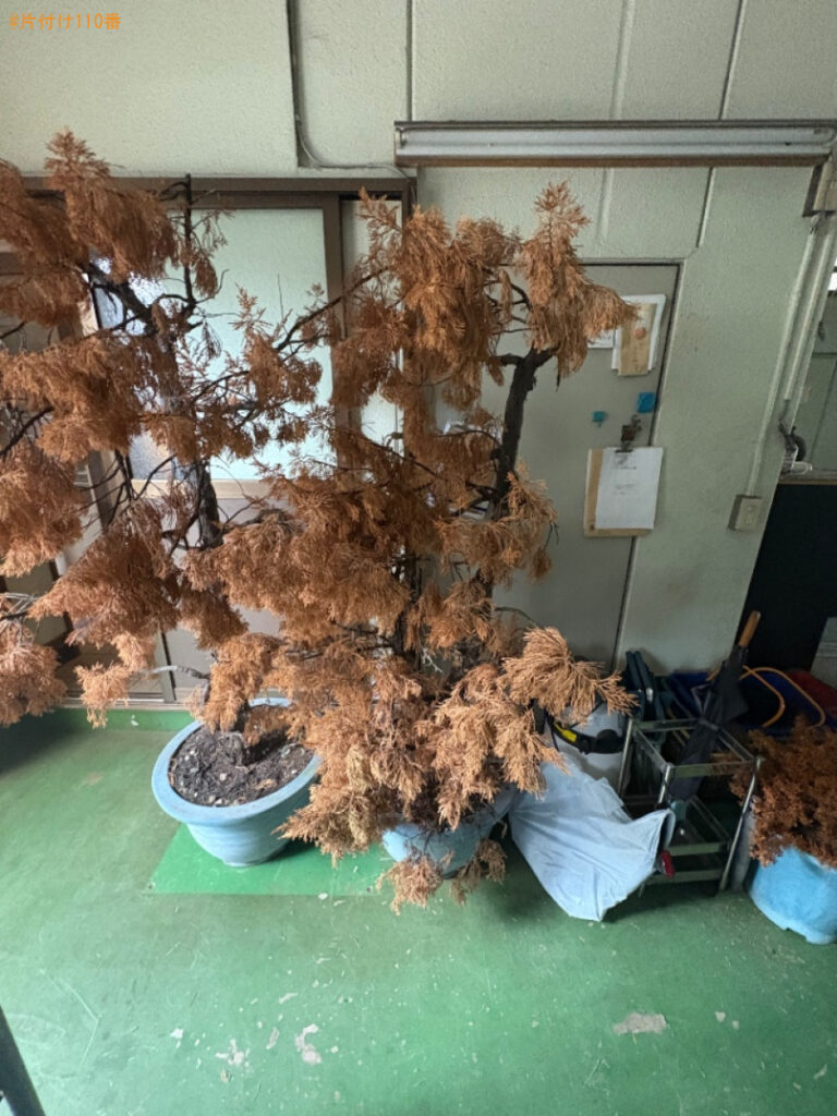 【荒川区】鉢植え、室内にある不用品等の回収・処分ご依頼