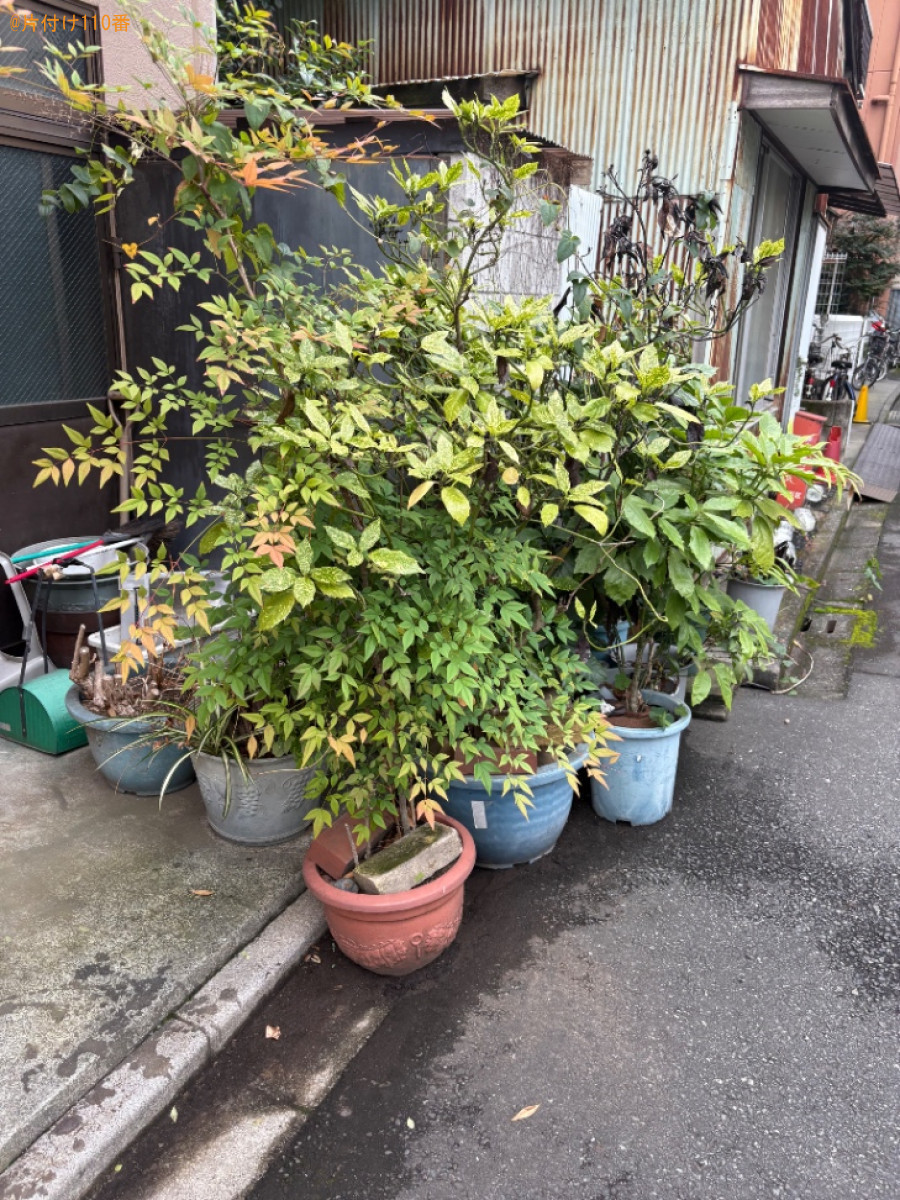 【荒川区】鉢植え、室内にある不用品等の回収・処分ご依頼