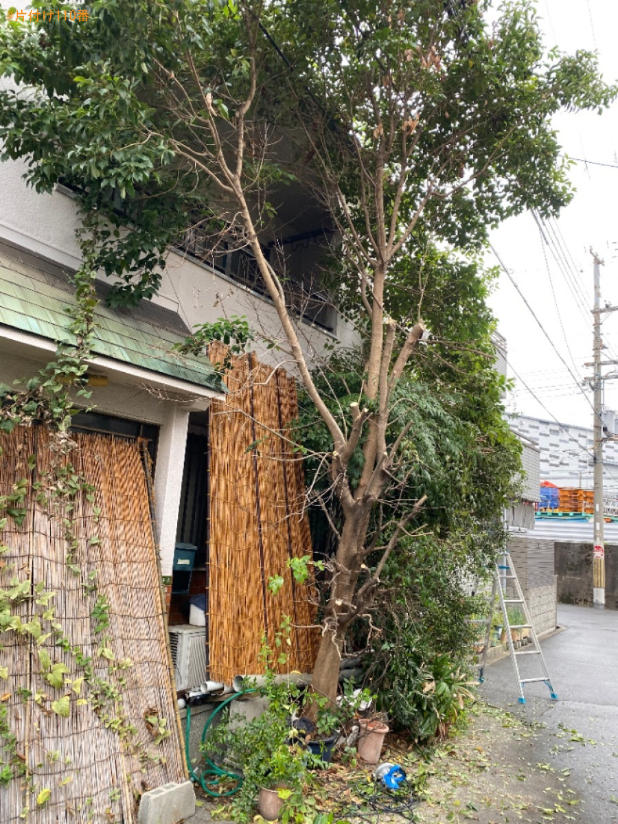 【大阪市大正区】木の伐採作業ご依頼 お客様の声