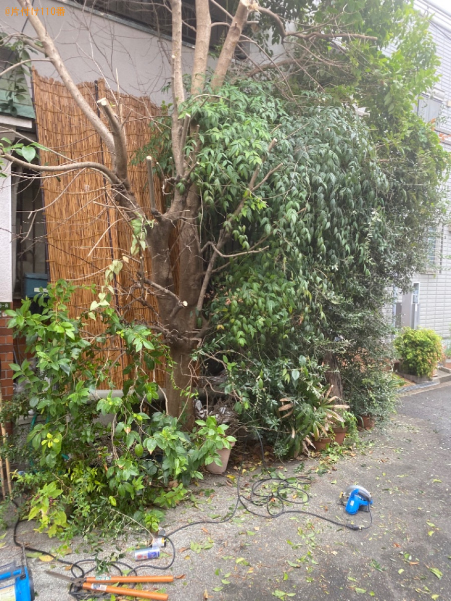 【大阪市大正区】木の伐採作業ご依頼 お客様の声