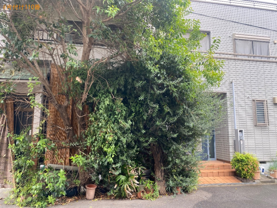 【大阪市大正区】木の伐採作業ご依頼 お客様の声