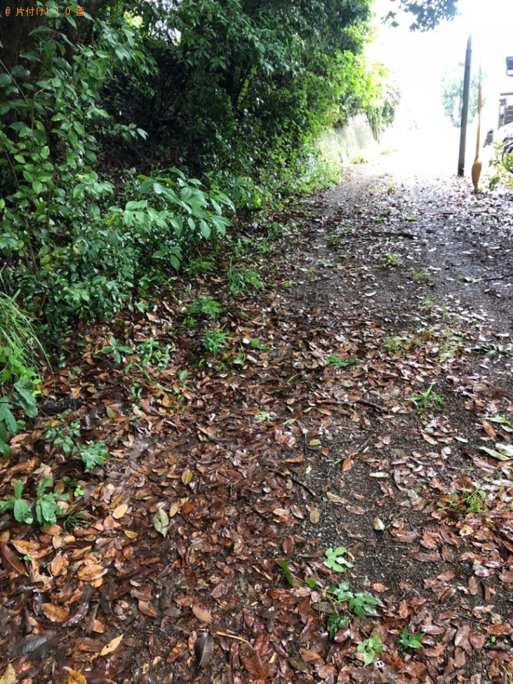 【岡山市北区】倒木の回収・処分ご依頼 お客様の声