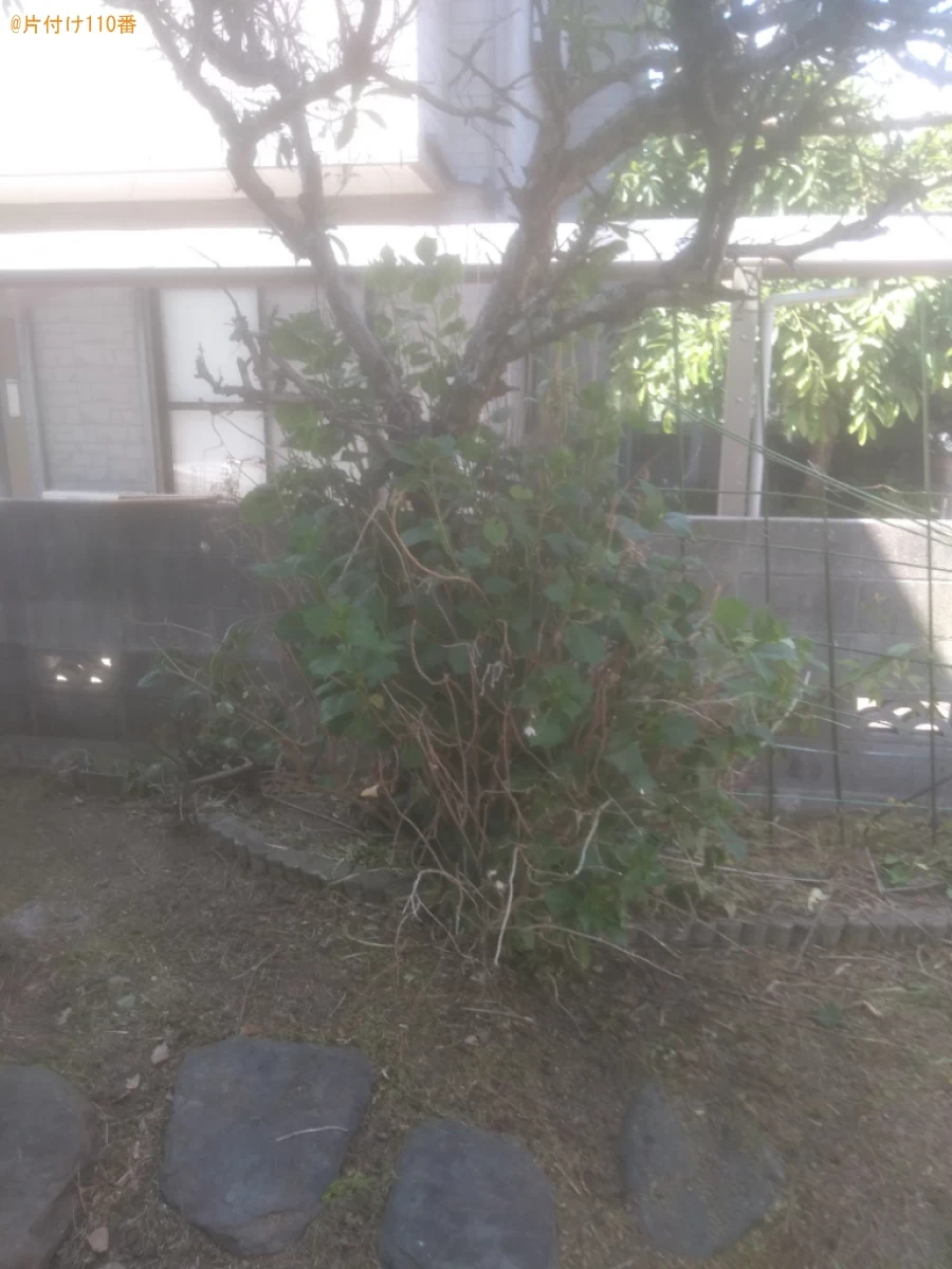 【松山市別府町】草刈り、庭木の剪定作業ご依頼　お客様の声