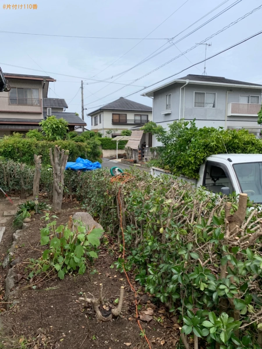 【中津市】木の伐採・伐根、草刈り作業ご依頼　お客様の声