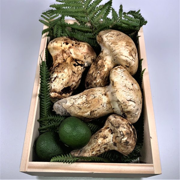 【限定2名さま】松茸 木箱 300g