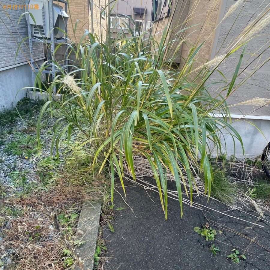 草刈り作業ご依頼　お客様の声