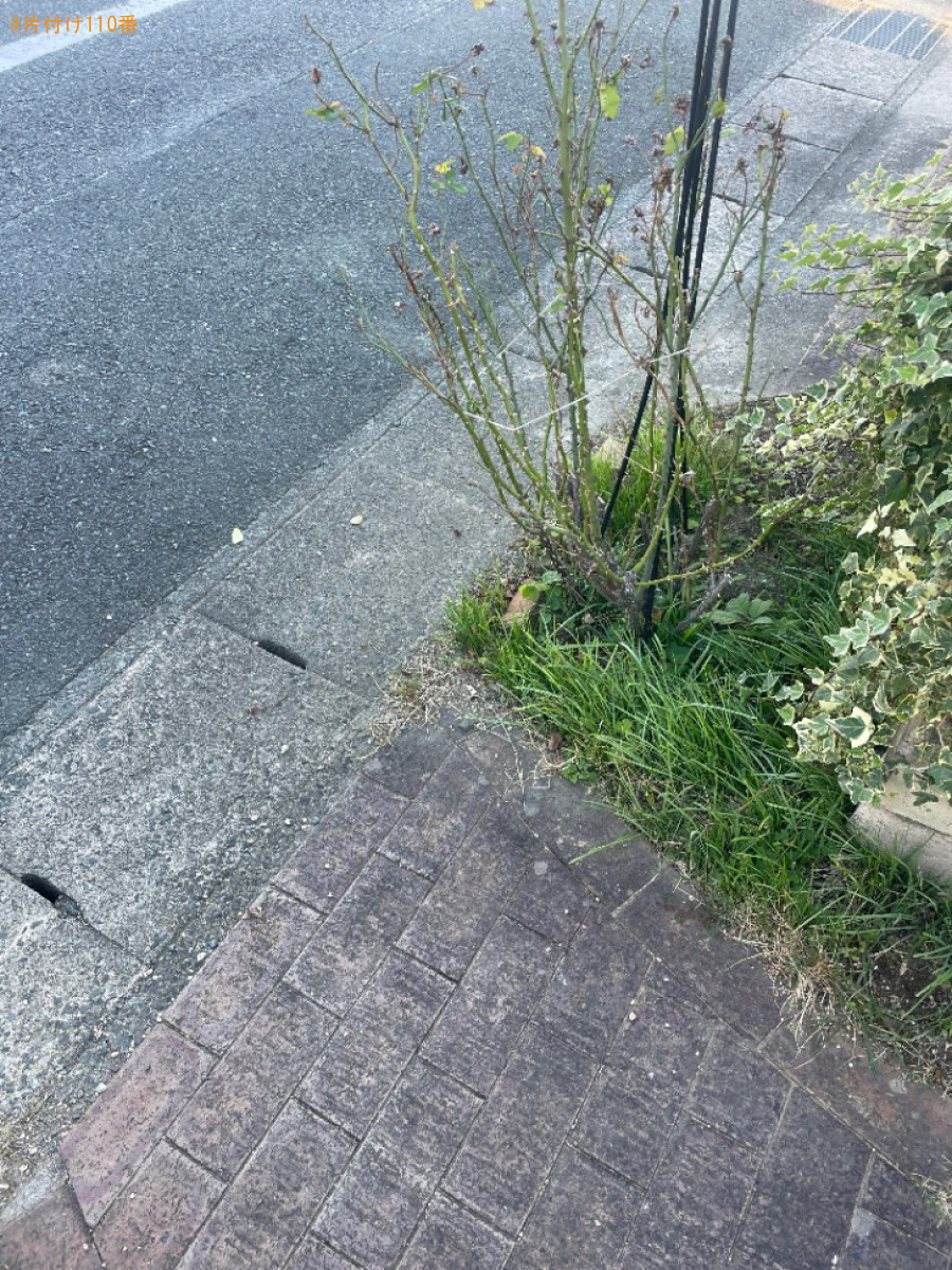 【豊橋市】掃除機、マットレス、ダンボール、クッション等の回収