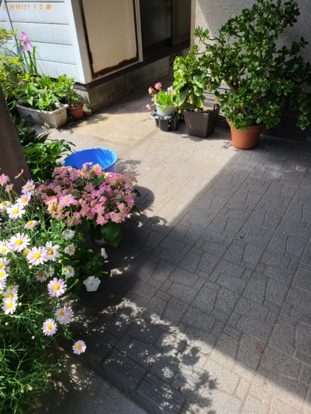 【丸亀市垂水町】マットレス付きシングルベッドの回収・処分ご依頼