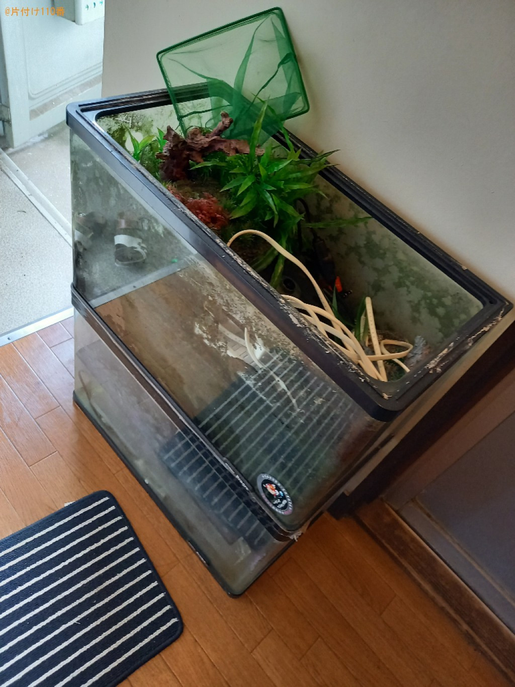 【丸亀市】水槽、水槽用品、机、棚、段ボールの回収・処分ご依頼