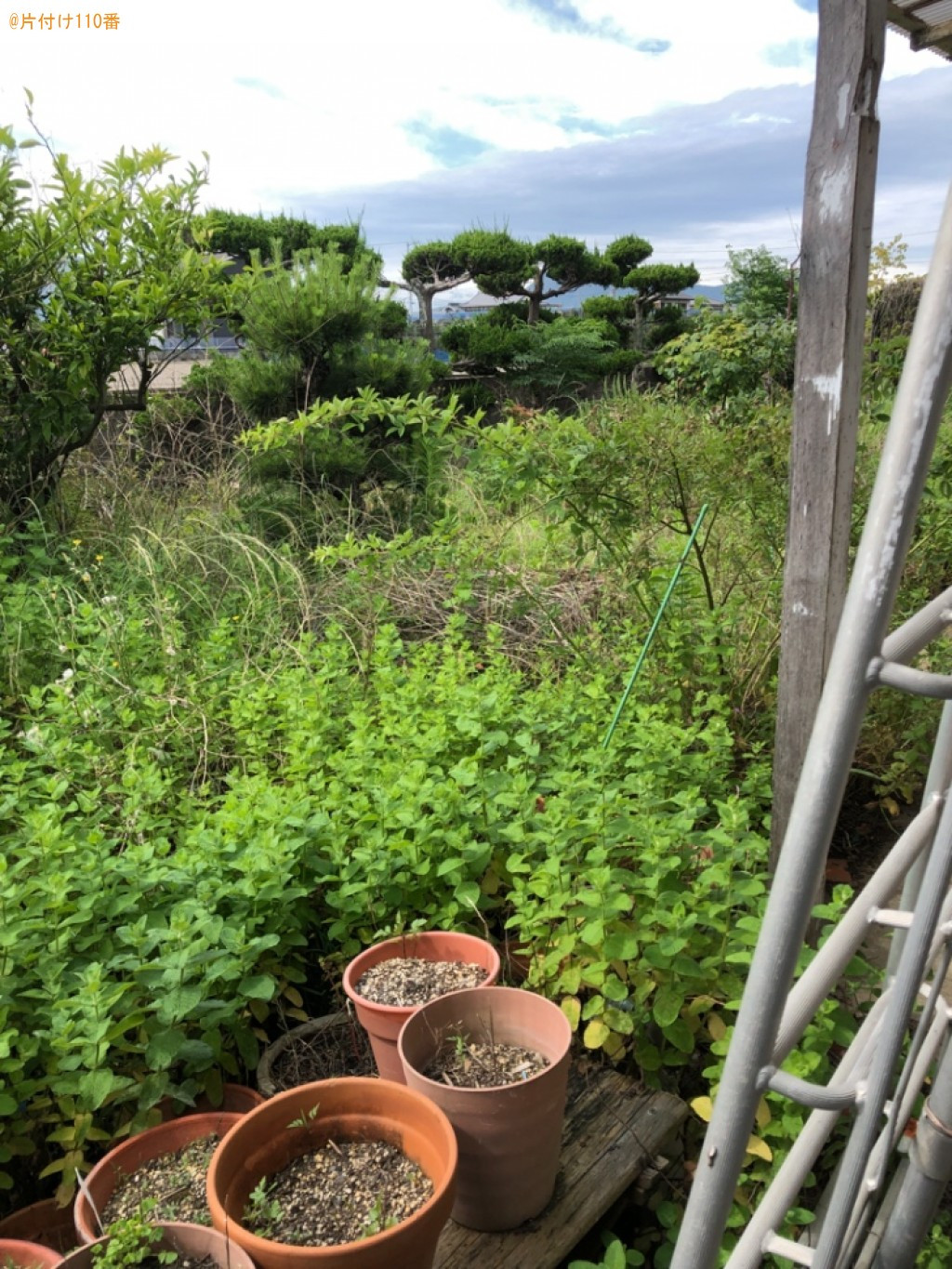 【丸亀市金倉町】草刈り作業ご依頼　お客様の声