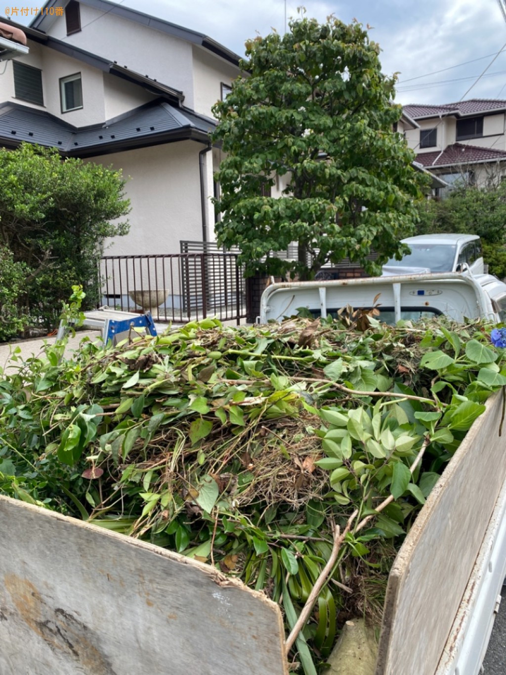 【横浜市港南区】草刈り、木の剪定作業ご依頼　お客様の声