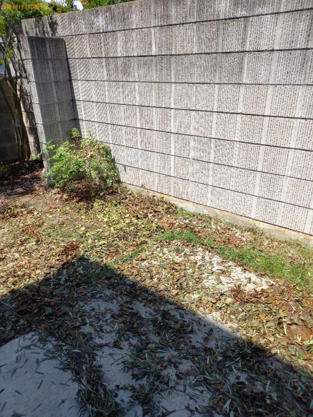 【高松市太田上町】伐採した枝の回収・処分ご依頼　お客様の声