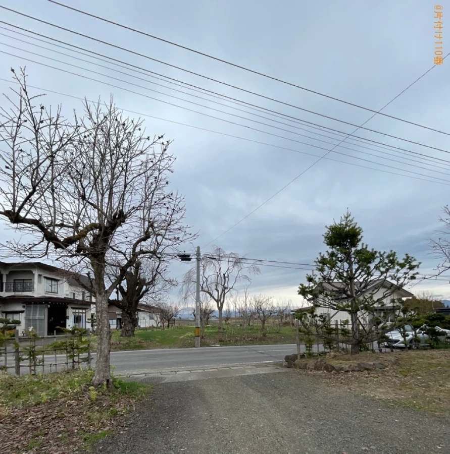 【弘前市】木の伐採作業ご依頼 お客様の声