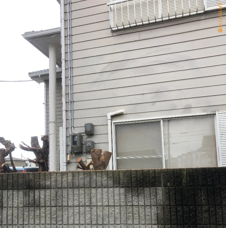 【徳島市北矢三町】木の伐採作業ご依頼 お客様の声