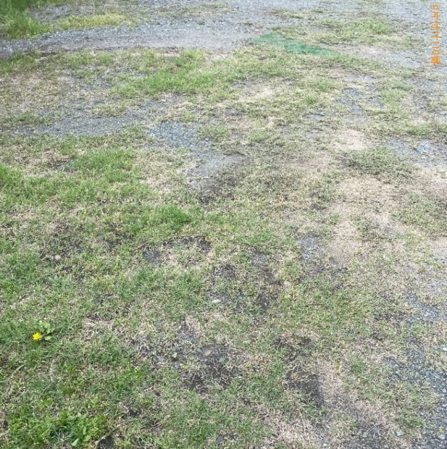 【豊橋市】シングルベッドマットレスの回収・処分ご依頼　お客様の声