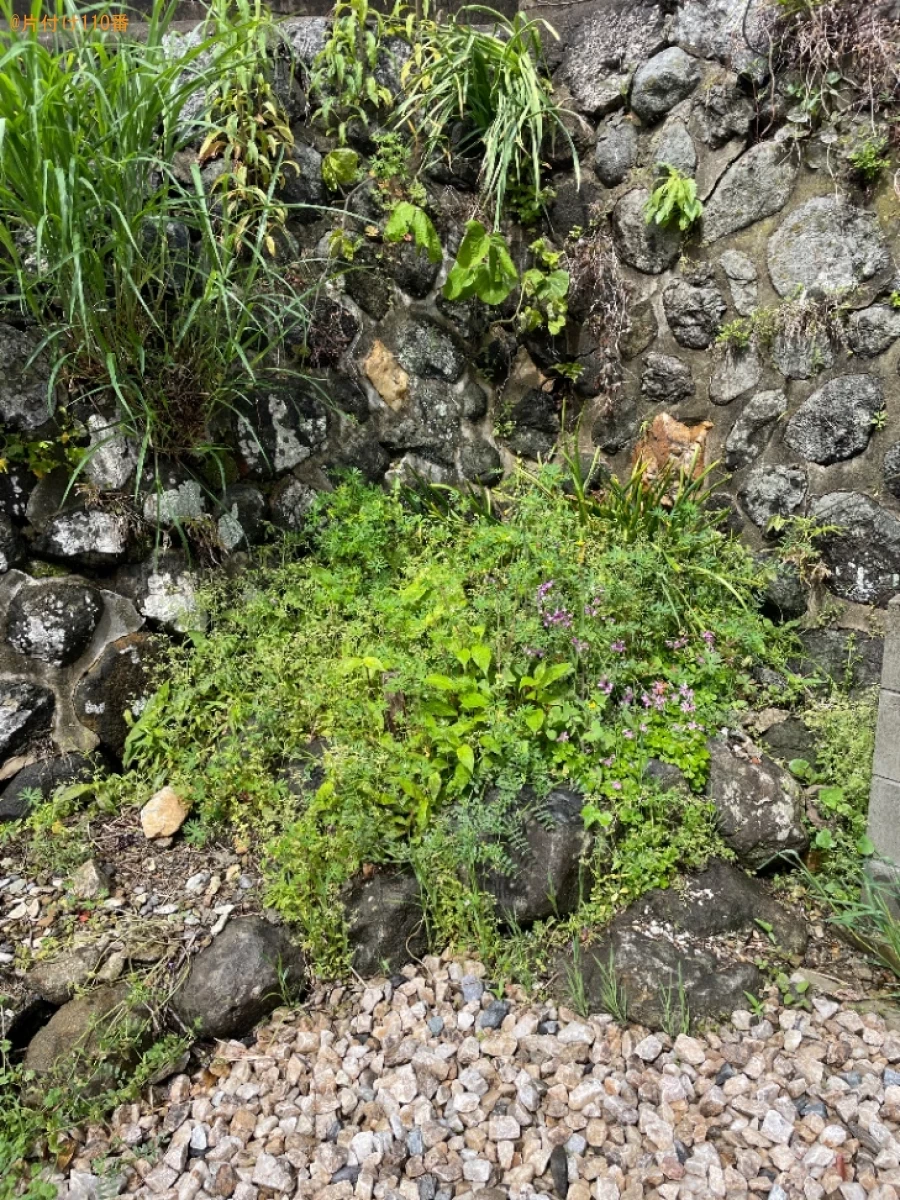 【西尾市吉良町】草刈り作業ご依頼　お客様の声