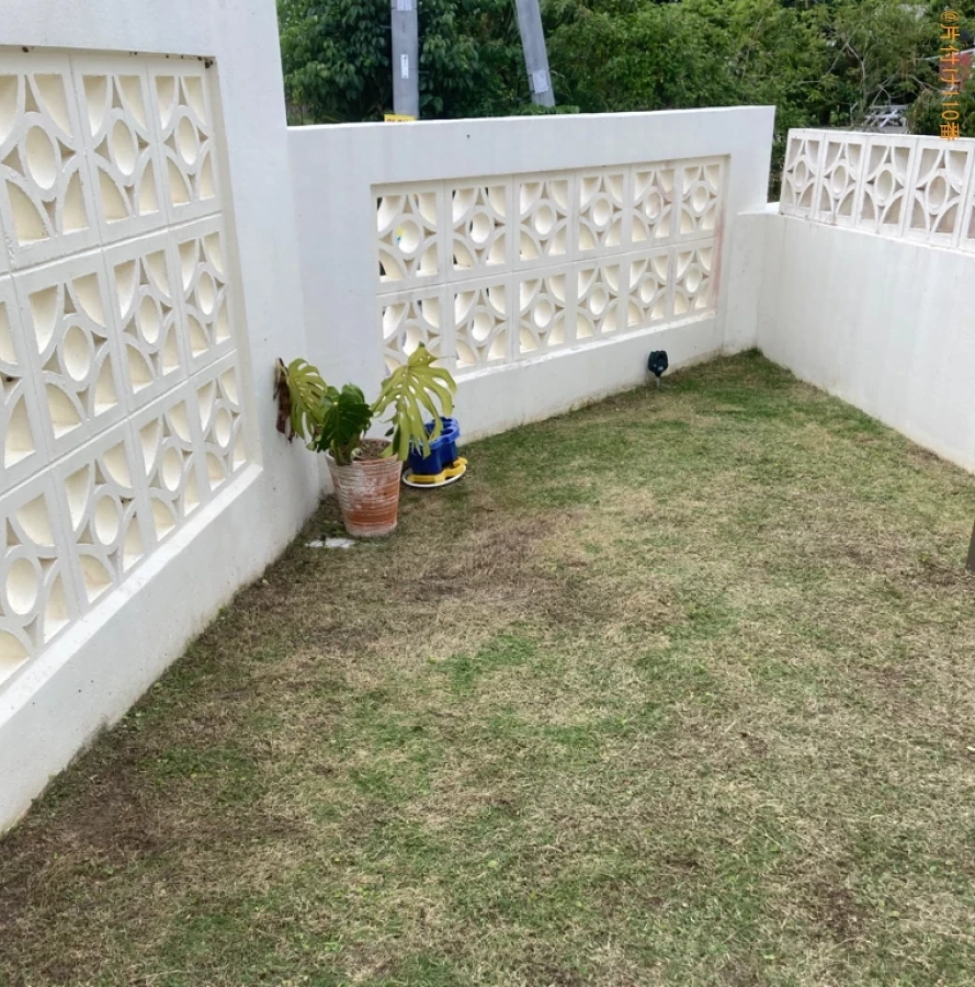 【国頭郡本部町】草刈り作業ご依頼 お客様の声