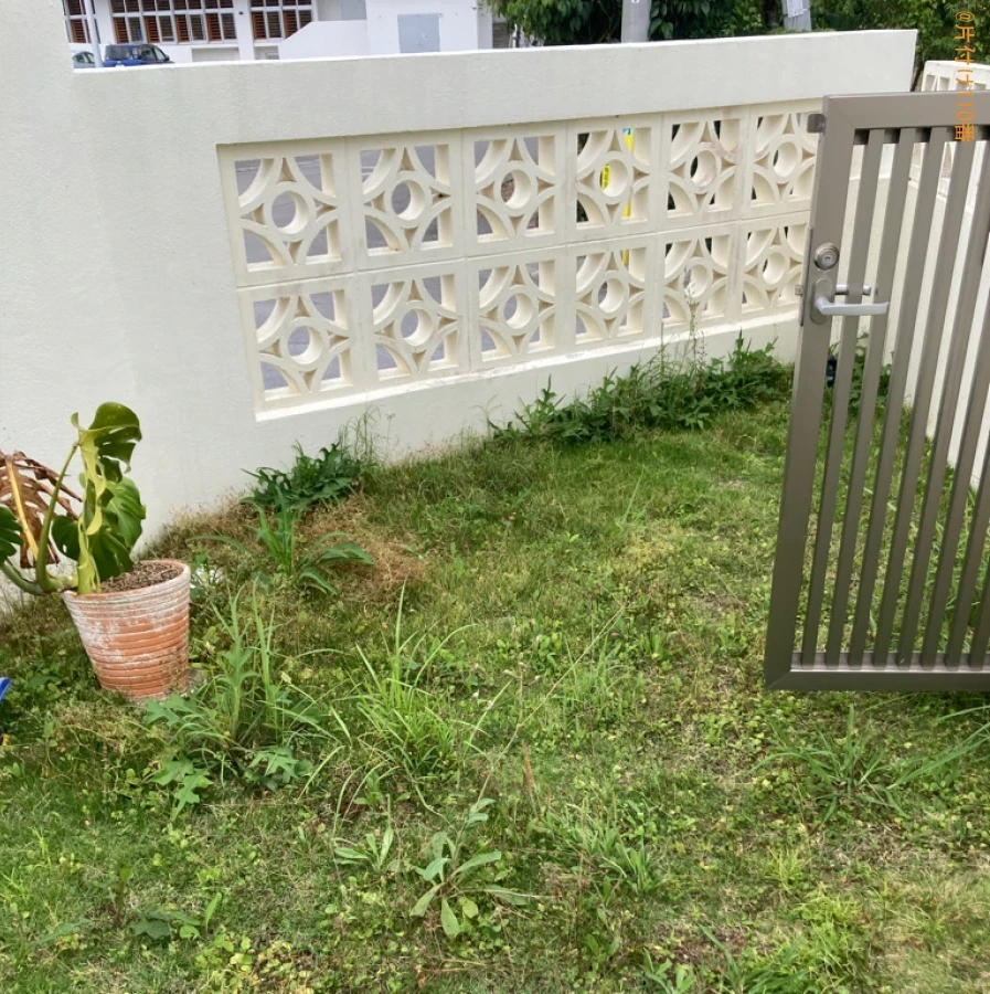 【国頭郡本部町】草刈り作業ご依頼 お客様の声