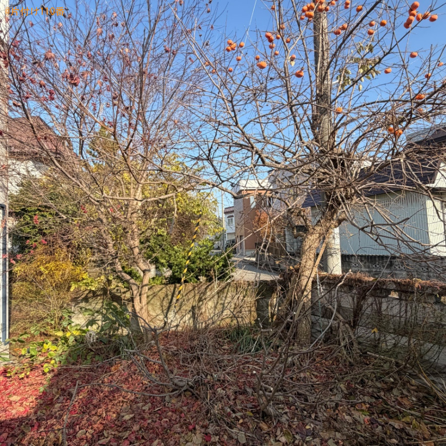 【青森市】木の伐採作業ご依頼 お客様の声